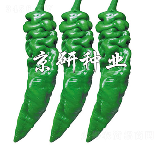 ����97-�����N��-���зN�I(y��)