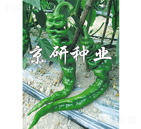 ����47-�����N��-���зN�I(y��)