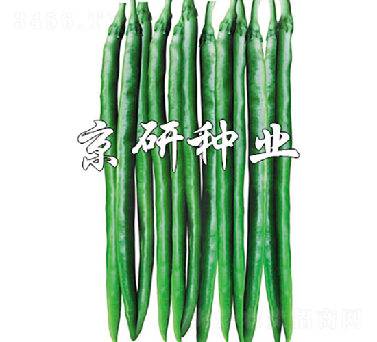 ����1629-�����N��-���зN�I(y��)