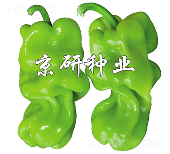 ���а�Ƥ3̖(h��o)-�����N��-���зN�I(y��)