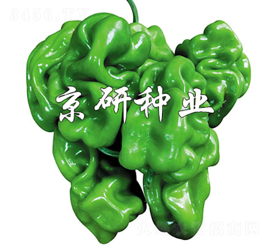 ���а�Ƥ4̖-�����N��-���зN�I(y��)