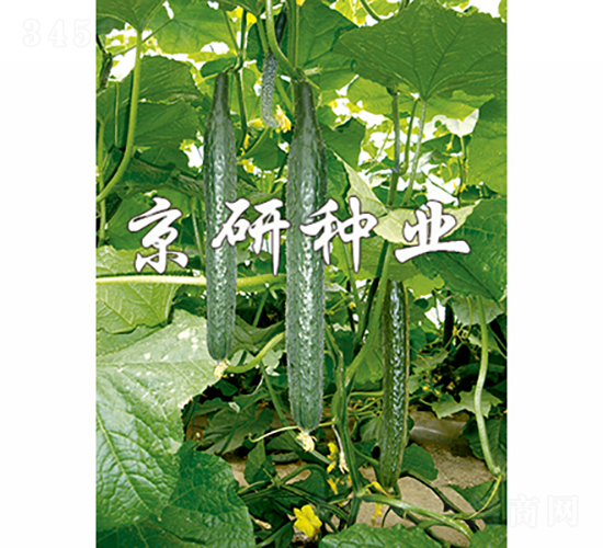 ����107-�S�ϷN��-���зN�I(y��)