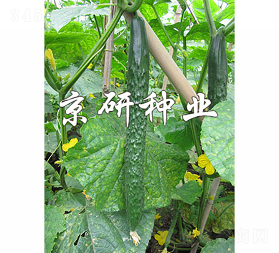 ���д���G3̖(h��o)-�S�ϷN��-���зN�I(y��)