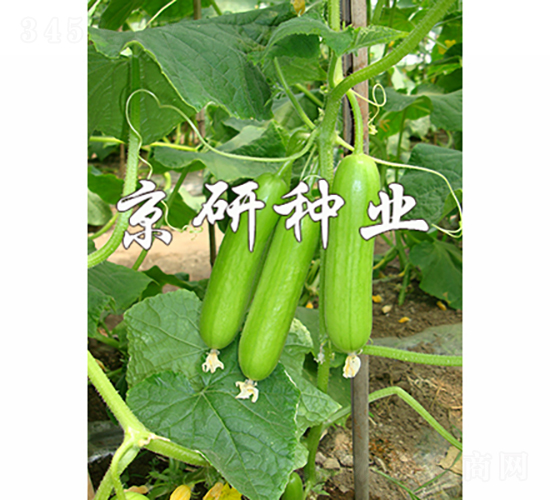 ���д�������2̖(h��o)-�S�ϷN��-���зN�I(y��)