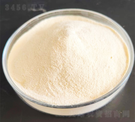 ����-��������