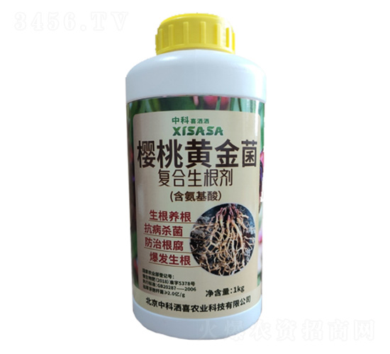 ���Ҍ����S�����(f��)��������-�пƞ�ϲ