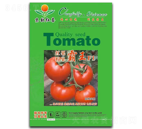 ���t���N��-�۹�����F1-���J�tϲ