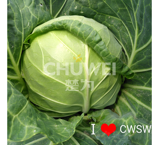 ���A��104-���{(l��n)�N��-��������