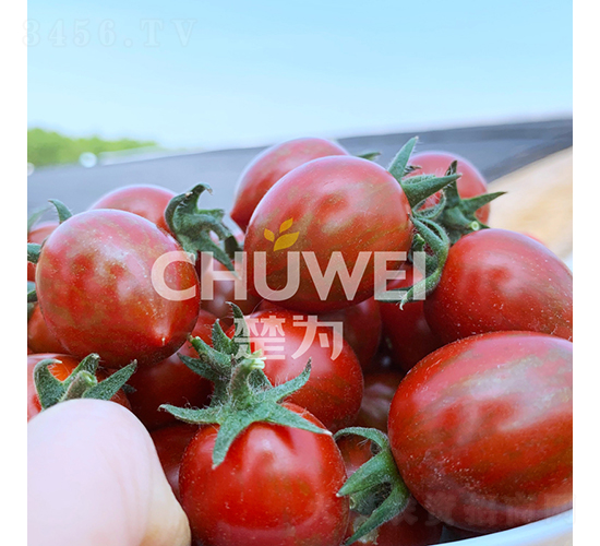 ����2̖-���ѷN��-��������