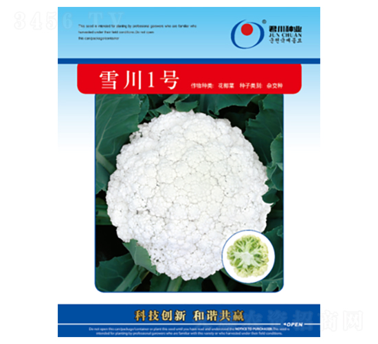 ѩ��1̖-�ɻ��˷N��-�����N�I(y��)