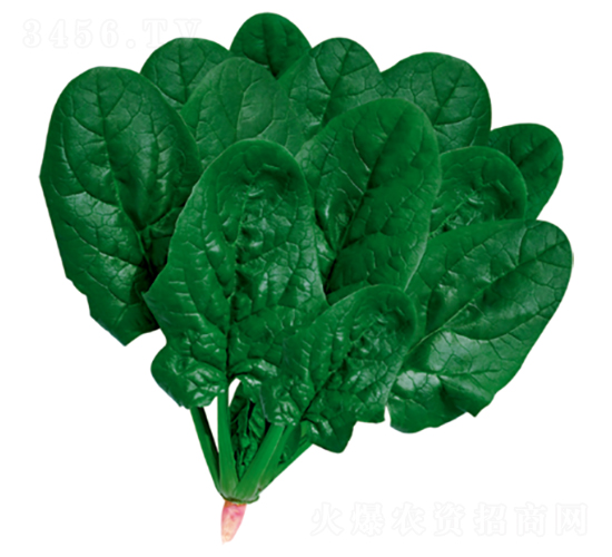 ����502-���˷N��-�����N�I(y��)