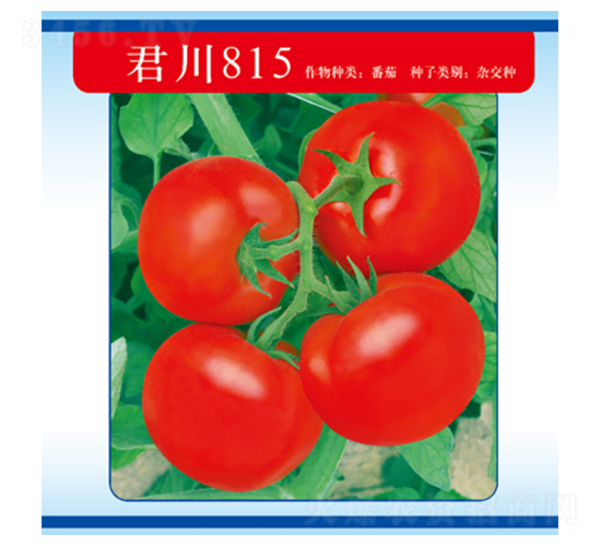 ����815-���ѷN��-�����N�I(y��)