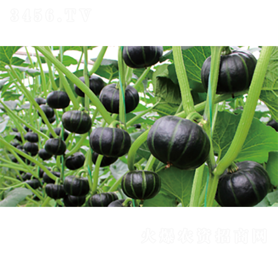 �nؐ2̖(h��o)-�ϹϷN��-�����N�I(y��)