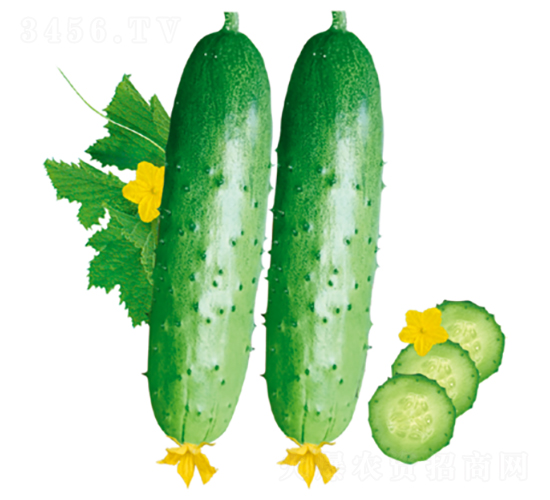 ����(y��u)103-�S�ϷN��-�����N�I(y��)