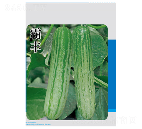 ���S-�S�ϷN��-�����N�I(y��)