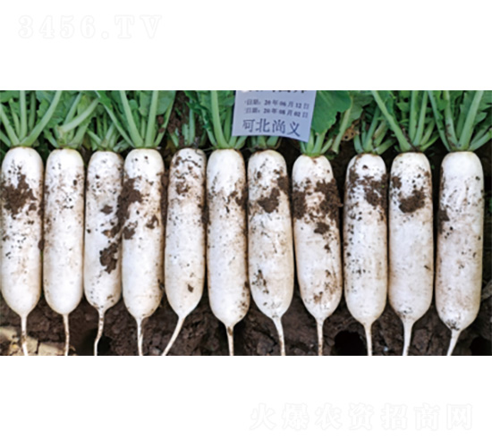 �����׎�-�}���N��-�����N�I(y��)