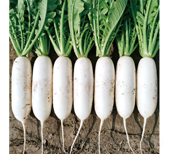 �������ď�-�}���N��-�����N�I(y��)