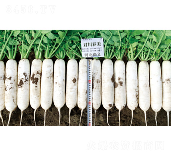 ��������-�}���N��-�����N�I(y��)