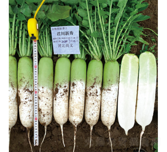 ��������-�}���N��-�����N�I(y��)