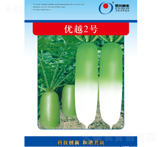 優(yōu)越2號(hào)-蘿卜種子-君川種業(yè)