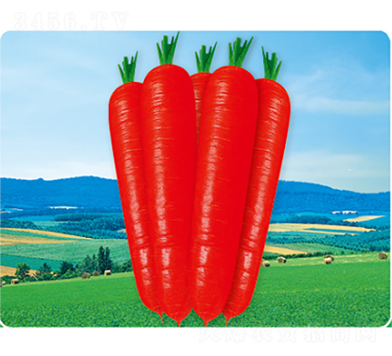 �V��3̖-���}���N��-�����N�I(y��)