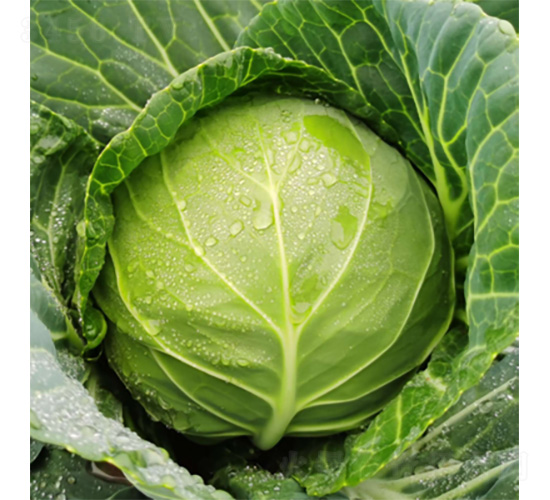 ���v3̖-���{�N��-�����N�I(y��)