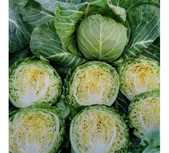 ����һ̖-���{(l��n)�N��-�����N�I(y��)