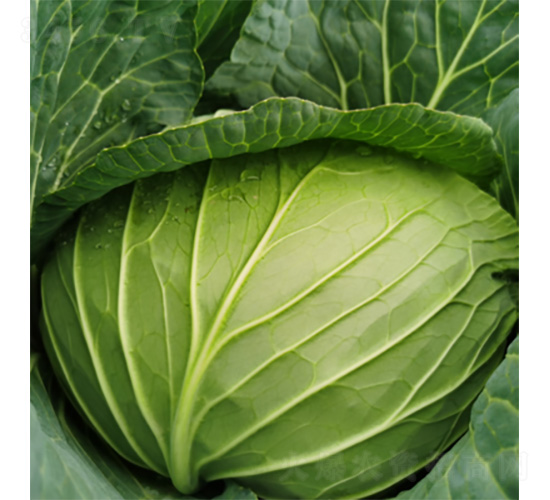 �������m-���{(l��n)�N��-�����N�I(y��)