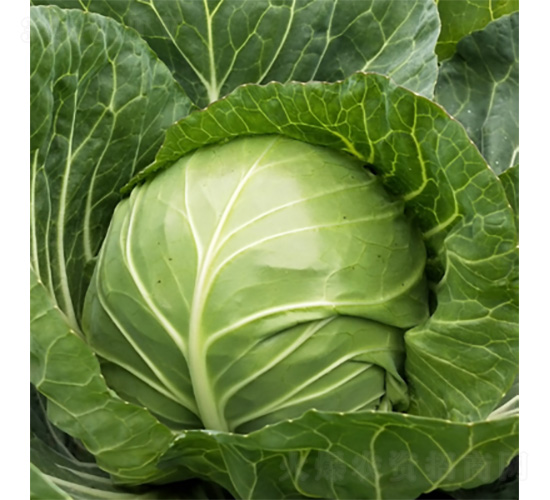 ��������-���{(l��n)�N��-�����N�I(y��)