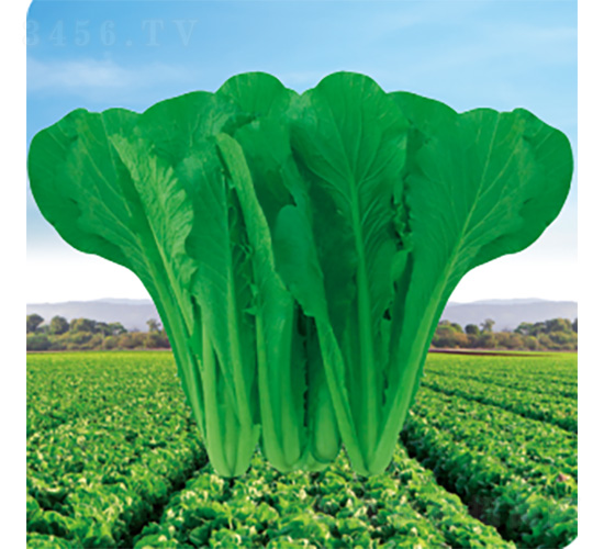 �G���_-��˷N��-�����N�I(y��)