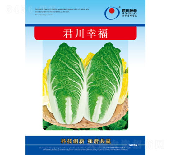 君川幸福-白菜種子-君川種業(yè)