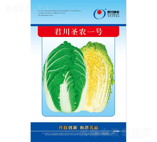 君川圣農(nóng)一號-白菜種子-君川種業(yè)