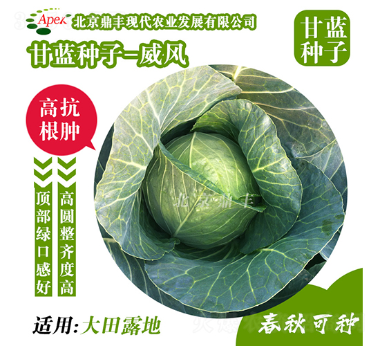 ���L(f��ng)166-���{�N��-���S�r(n��ng)�I(y��)