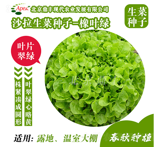 ���~�G-���˷N��-���S�r�I(y��)