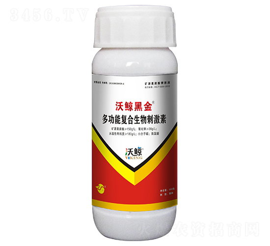 �๦�܏�(f��)������̼���-���L�ڽ�