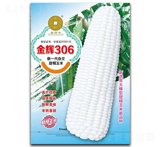 ���x306-���׷N��-�A��N�I(y��)