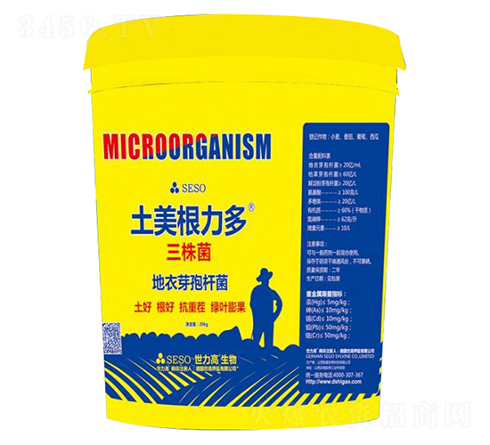 ����������-����������