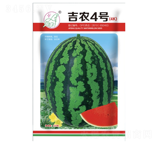 吉農(nóng)4號(hào)-西瓜種子-吉豐種業(yè)