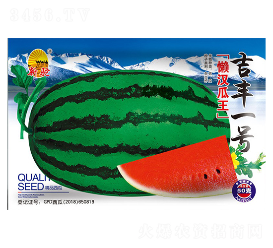 吉豐一號(hào)懶漢瓜王-西瓜種子-吉豐種業(yè)