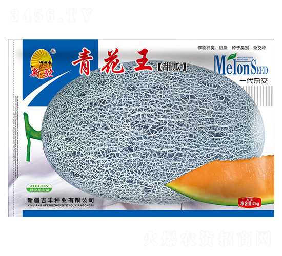 青花王甜瓜-甜瓜種子-吉豐種業(yè)