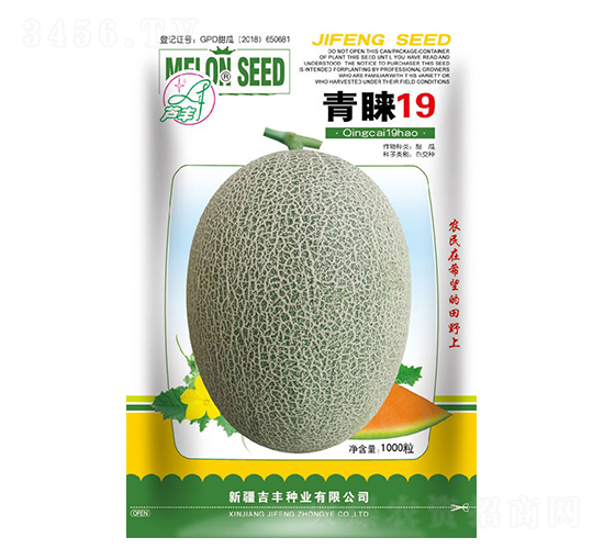 青睞19-甜瓜種子-吉豐種業(yè)