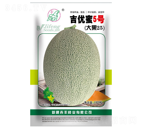 吉優(yōu)蜜5號(hào)-甜瓜種子-吉豐種業(yè)