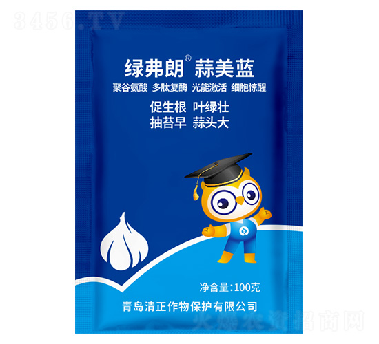 �����{(l��n)-�G����-����