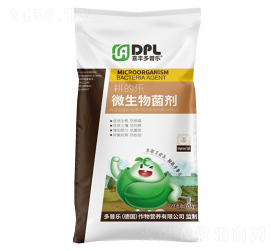 ���Ę�΢�������-���՘�