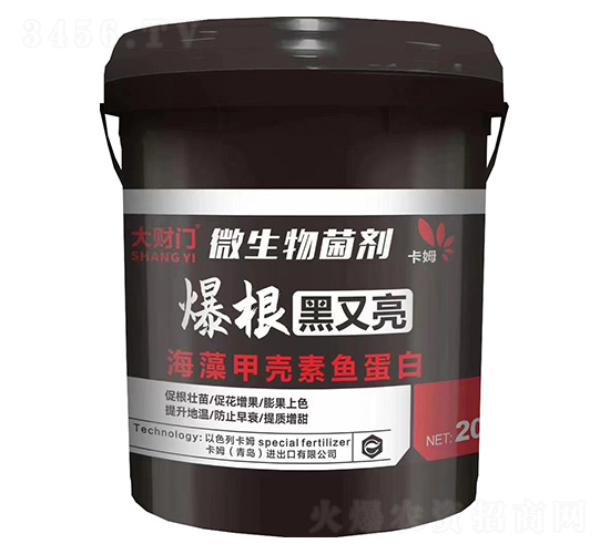 ����������΢�������-��ؔ�T-��ķ