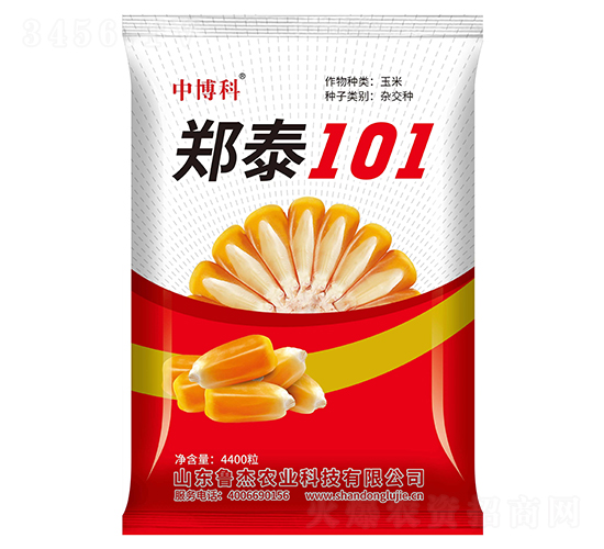 鄭泰101玉米種子-中博科-魯杰農(nóng)業(yè)