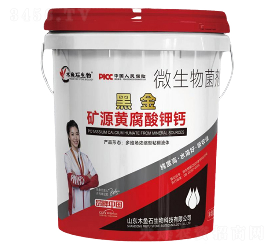 �VԴ�S������}-ľ�~(y��)ʯ