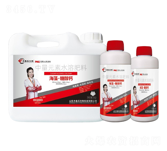 海藻·糖醇鈣-木魚石