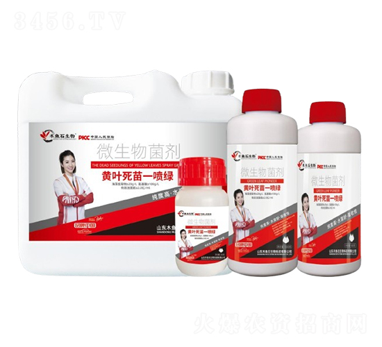 黃葉死苗一噴綠-木魚(yú)石