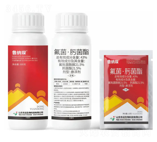 43%�������۾����Ҹ���-���{�-�|�h����